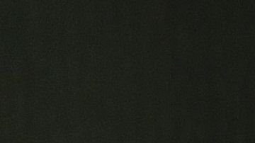 El presidente Trump insiste en levantar el muro.