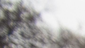 US-POLITICS-IMMIGRATION