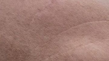 Emma Coronel volverá a México con sus hijas.