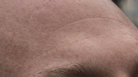 Emma Coronel volverá a México con sus hijas.