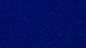 El presidente Trump insiste en la construcción del muro en la frontera con México.