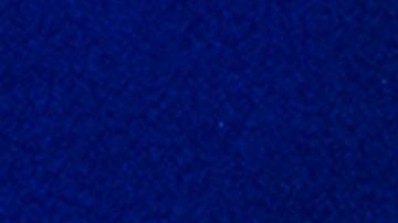 El presidente Trump insiste en la construcción del muro en la frontera con México.