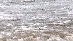 Oficiales ordenaron a conductor detenerse, pero éste se negó.