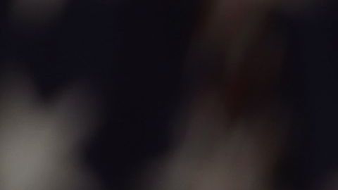 Fuertes críticas a Trump por tomar esta decisión