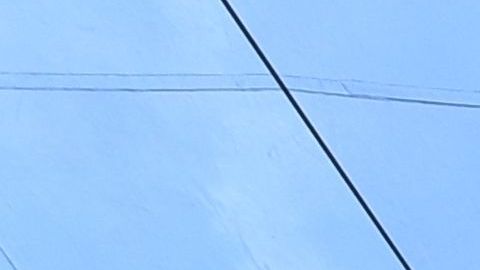 Las pantallas muestran el logo de Oscar en el área de la alfombra roja.