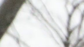 Emma Coronel afirma que autoridades de EEUU no le entregaron carta que le envió su esposo.