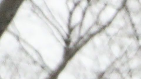 Emma Coronel afirma que autoridades de EEUU no le entregaron carta que le envió su esposo.