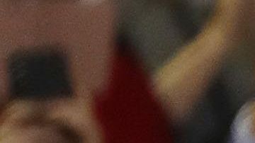 Los ambientalistas están decepcionados con el fallo