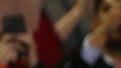 Los ambientalistas están decepcionados con el fallo