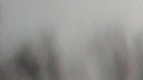 Activistas presionan para que protecciones permanentes para los llamados "tepesianos".