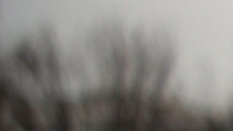 Activistas presionan para que protecciones permanentes para los llamados "tepesianos".