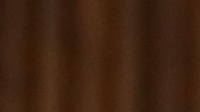 Congresistas durante una rueda de prensa para terminar con la declaración de emergencia.