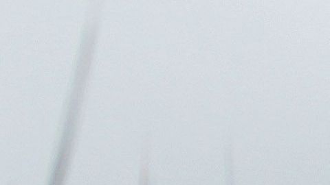 Al presidente Trump le encanta jugar golf.