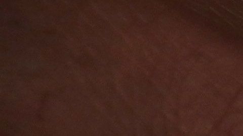 USCIS amplía rango de recopilación de datos biométricos.