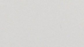 Adamari López y Toni Costa.