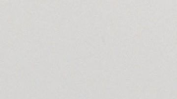 Adamari López y Toni Costa.