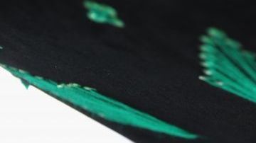 El mexicano Esteban Gutiérrez vuelve a las pistas como piloto de desarrollo de Mercedes.