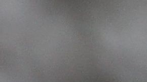 La torta de chocolate lleva 14 años congelada