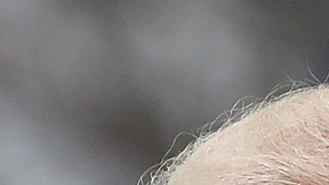 La torta de chocolate lleva 14 años congelada