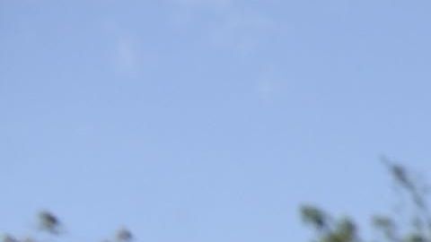 Shirley Palencia (c) con una foto de su hermana  Kimberly Mishel, quien murió en el incendio, en el funeral el 17 de marzo de 2017.