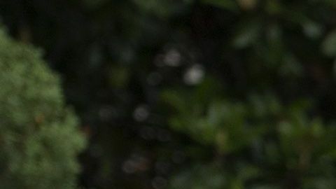 Durante su viaje al Campo David.