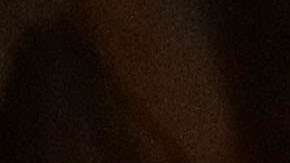 Robert Mueller es el fiscal especial por el "Rusiagate".