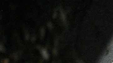 "El Mencho" es uno de los grandes objetivos de los gobiernos mexicano y estadounidense.