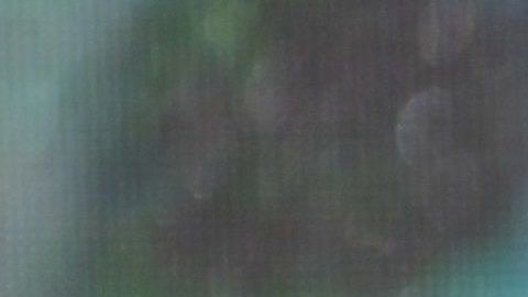 Beatriz Gutiérrez Müller busca respeto a su propia labor profesional.