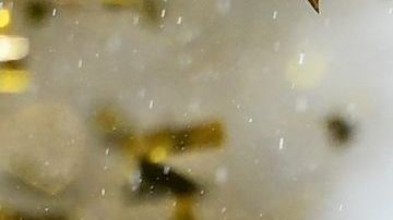 La FIFA tiene una seria candidatura para el Mundial 2030: Argentina, Uruguay, Paraguay y Chile buscan la sede conjunta.