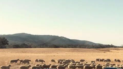 La podadora Honda fue diseñada y ensamblada en este continente