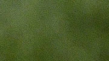 Juan Carlos Osorio es acusado de corrupción y la demanda llegaría hasta la FIFA