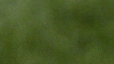 Juan Carlos Osorio es acusado de corrupción y la demanda llegaría hasta la FIFA