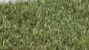 Juan Carlos Osorio renunció a la dirección técnica de la selección de Paraguay por motivos familiares