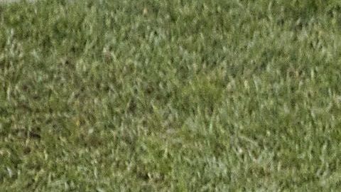 Juan Carlos Osorio renunció a la dirección técnica de la selección de Paraguay por motivos familiares