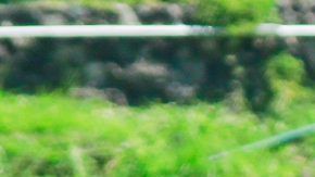 Pedro Caixinha y Ricardo Peláez fueron 'aplacados' por el presidente de Cruz Azul Guillermo Álvarez.