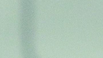 Miguel Herrera, técnico de las Águilas del América