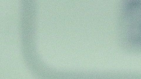 Miguel Herrera, técnico de las Águilas del América