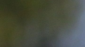 Gerardo martino ve más competitiva la Liga MX que muchos partidos en La Liga o la Premier League