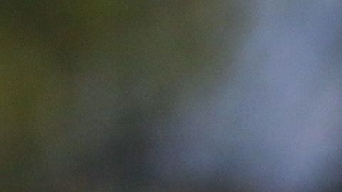 Gerardo martino ve más competitiva la Liga MX que muchos partidos en La Liga o la Premier League