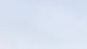 Trump está dispuesto a lo que sea.