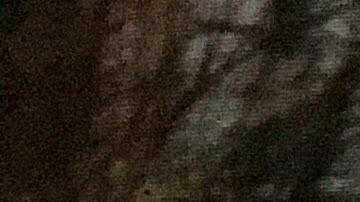 Sandy dejó varias calles bajo agua.