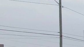 Comenzó como un misterio en las redes sociales, pero resultó ser una realidad