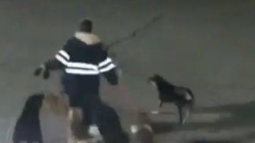 El ataque fue captado por cámaras de videovigilancia.