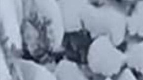 La aventura blanca en medio de la nieve que los jóvenes buscaban, se convirtió en una pesadilla de cinco días, cuando el vehículo se atascó en medio de la nieve.