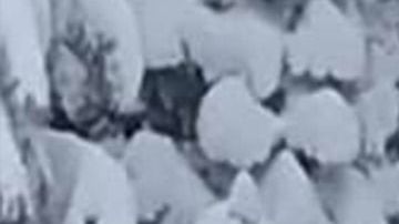 La aventura blanca en medio de la nieve que los jóvenes buscaban, se convirtió en una pesadilla de cinco días, cuando el vehículo se atascó en medio de la nieve.