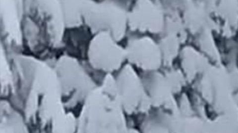 La aventura blanca en medio de la nieve que los jóvenes buscaban, se convirtió en una pesadilla de cinco días, cuando el vehículo se atascó en medio de la nieve.