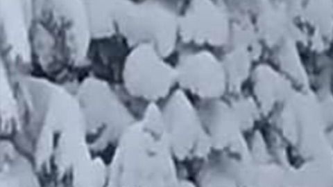 La aventura blanca en medio de la nieve que los jóvenes buscaban, se convirtió en una pesadilla de cinco días, cuando el vehículo se atascó en medio de la nieve.