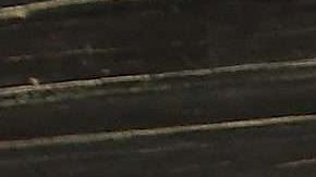 Jorge Ramos junto a Chiquinquirá Delgado.