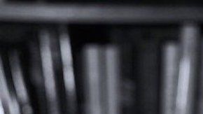 John Sevigny, fotógrafo  estadounidense.