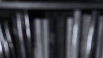 John Sevigny, fotógrafo  estadounidense.